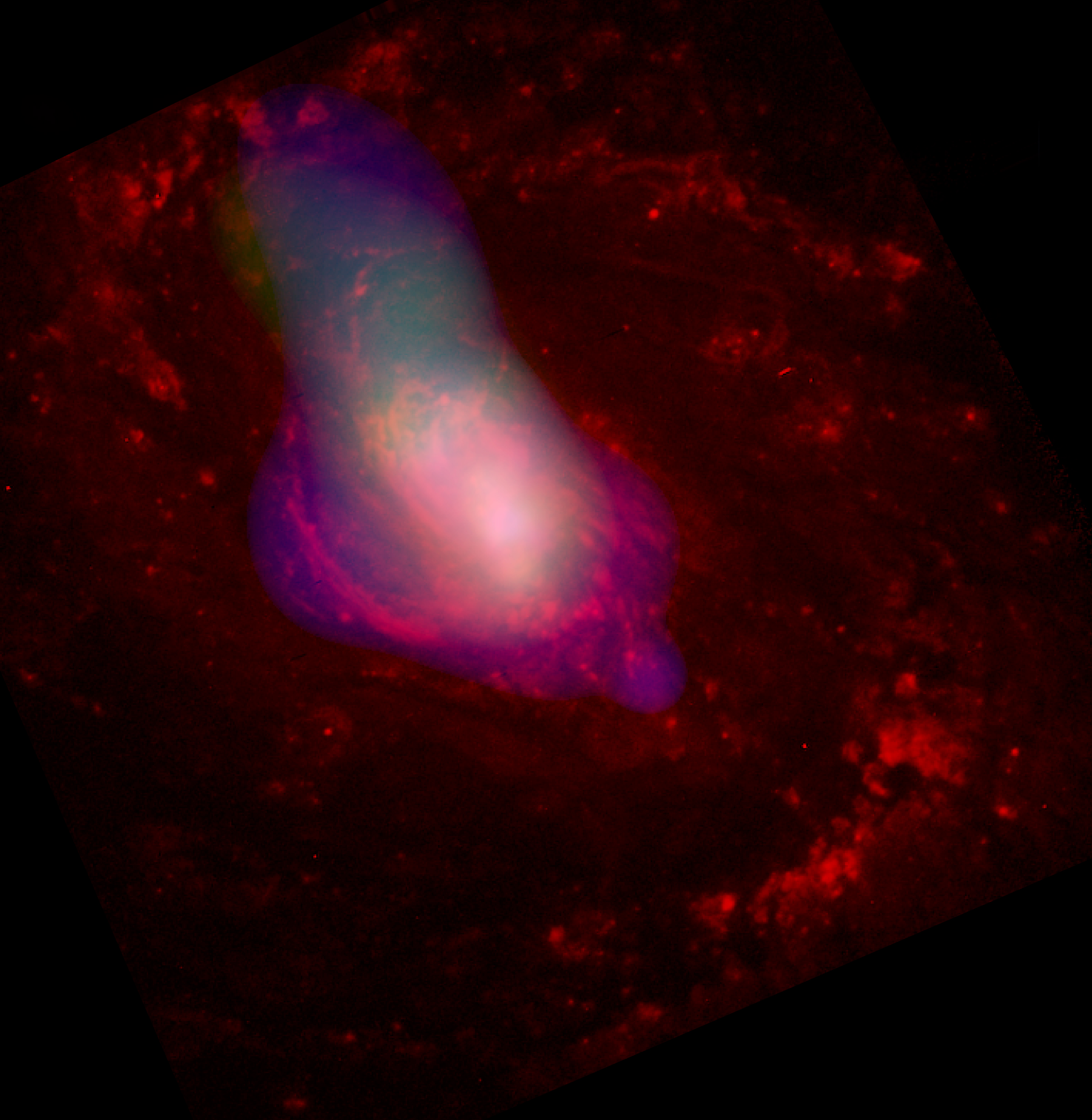 Reflections from a Black Hole Reflections from a Black Hole