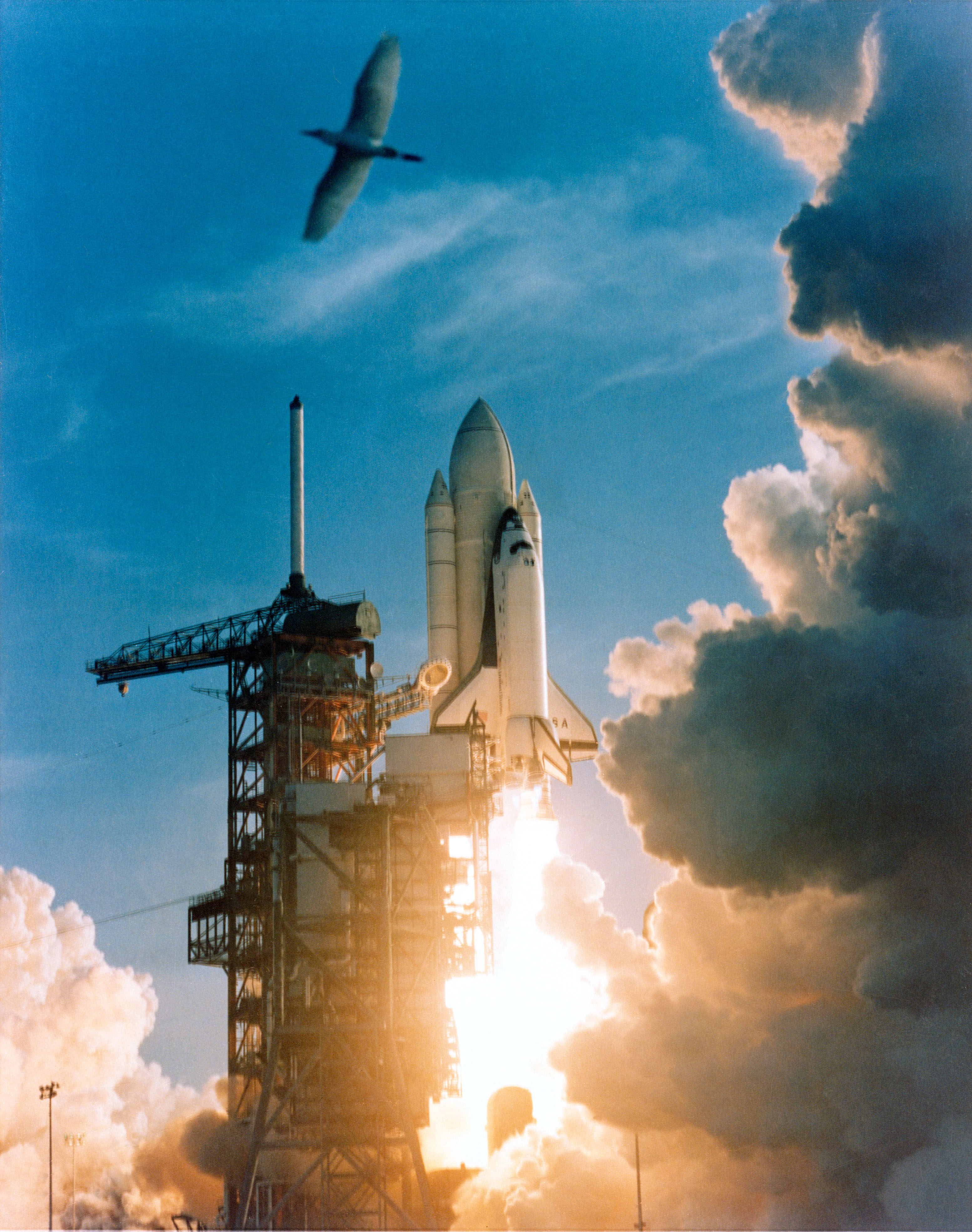 STS-1 Takes Flight